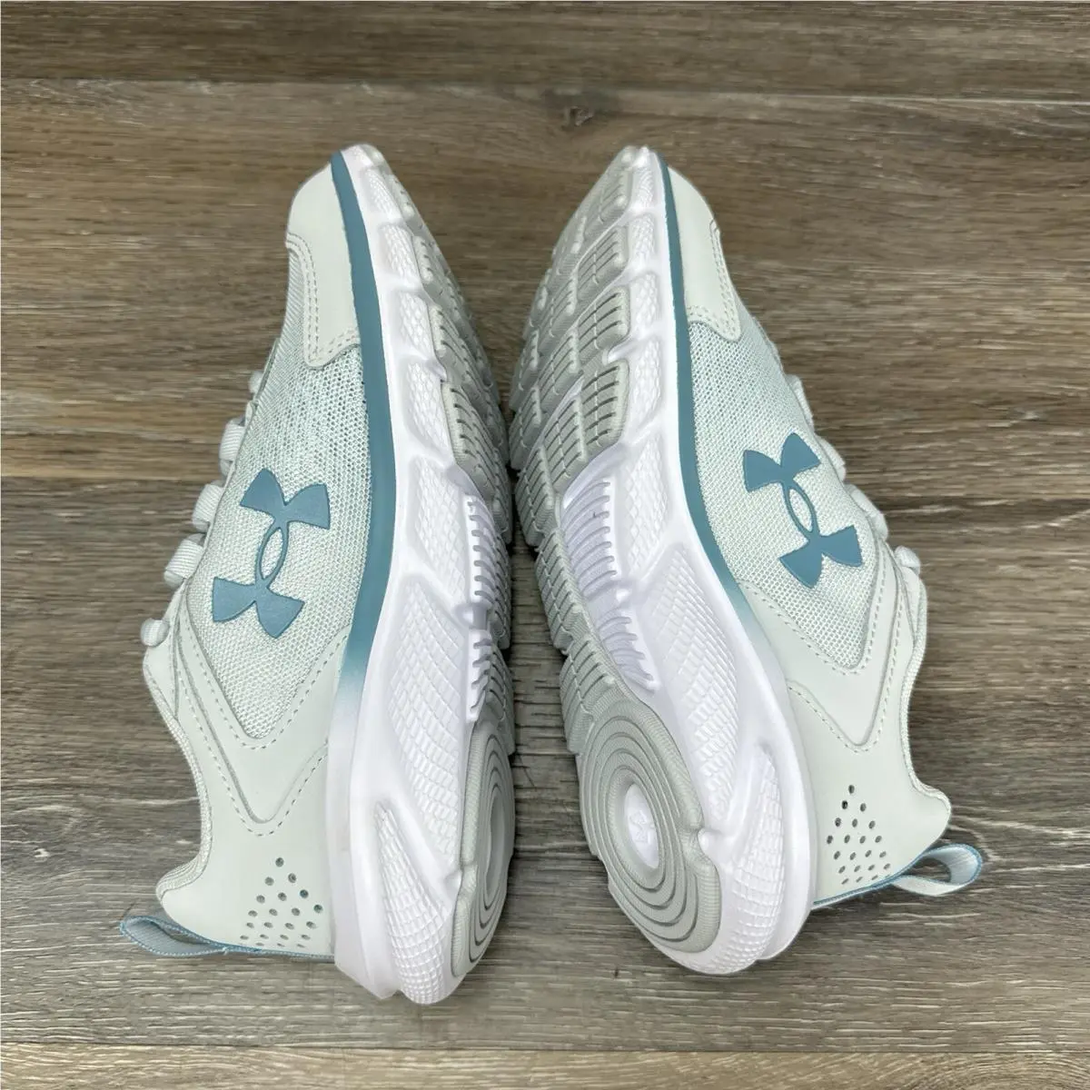 Under Armour shoes - Under Armour Charged Assert 9 - 3024591-120 - Gray 12
