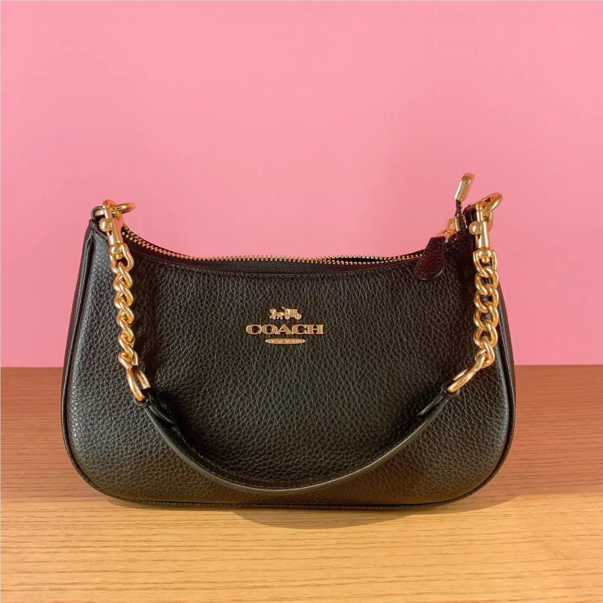 Coach Teri Shoulder Bag Pebble Leather CA173/CC324/CV934