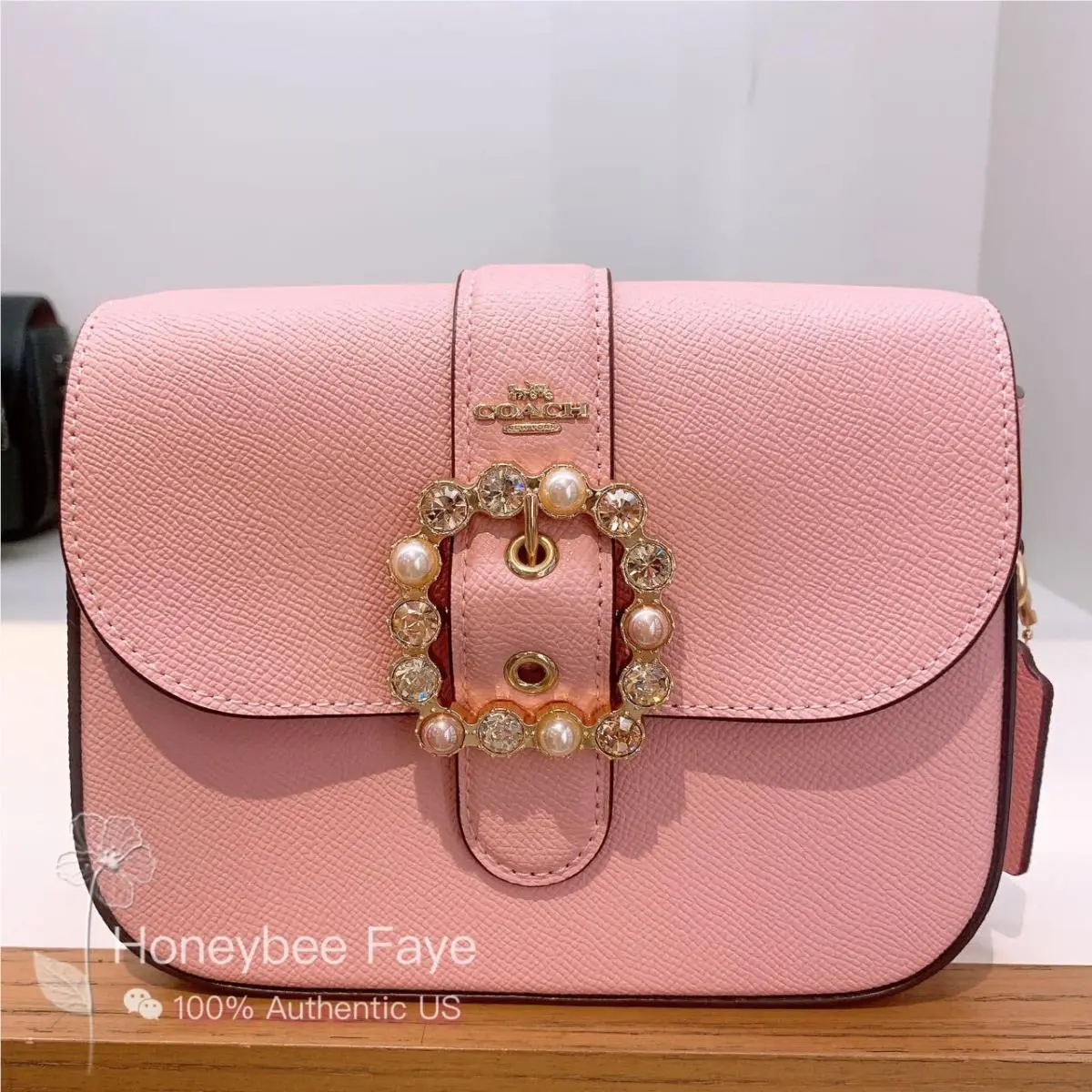 Coach Gemma Crossbody with Jeweled Buckle CE622