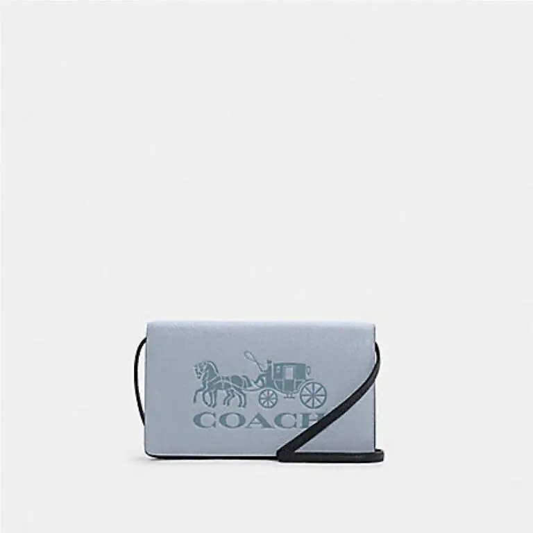 Anna Foldover Clutch CB IN Colorblock W Horse and Carriage Coach C5887