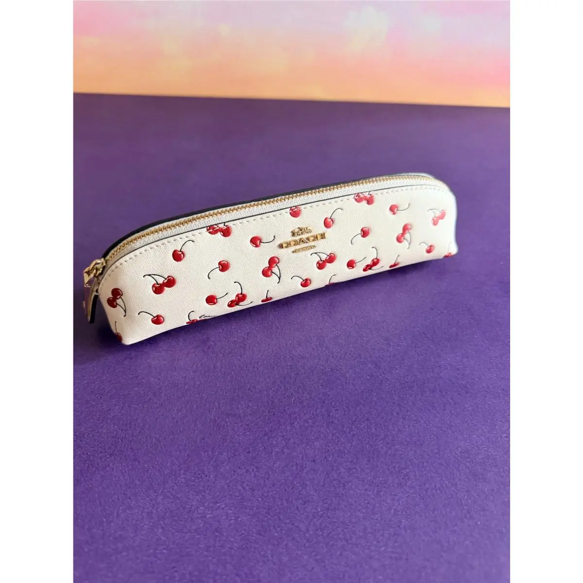 BN  Pencil Cosmetic Organizational Case Pick One CFA45 chalk multi cherry print by Coach