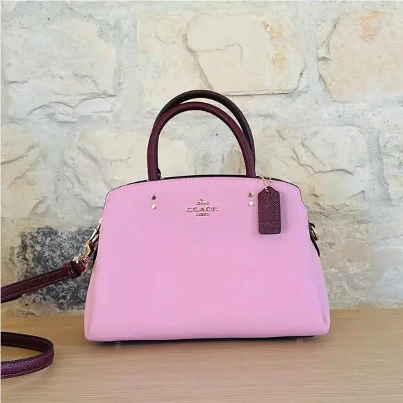 Mini Lillie Carryall Bag Colorblock Leather Lady Women /wallet Option handbag by Coach