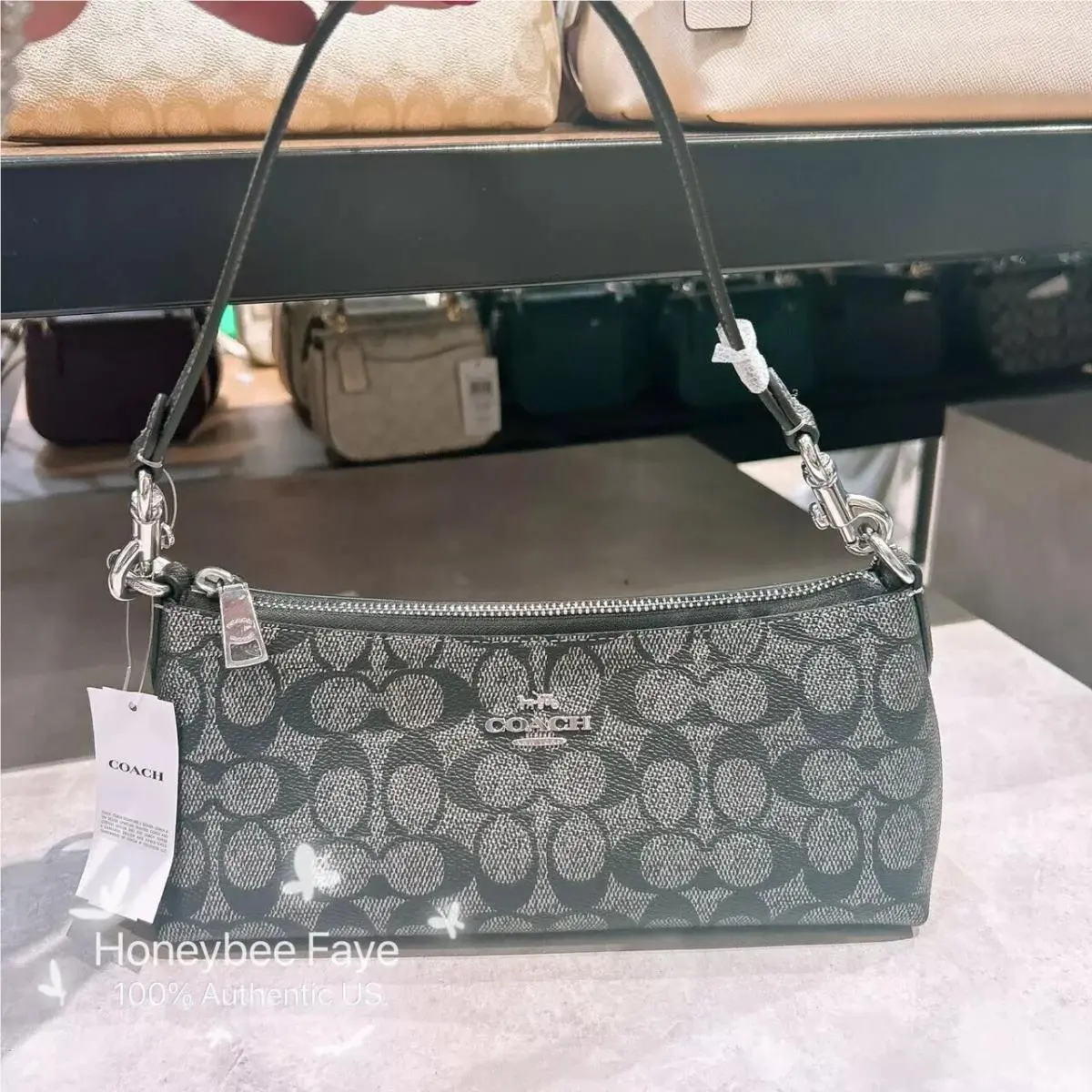 Charlotte Shoulder Bag CX579/CX810/CX580/CCL40/CCO18 CX580 Silver/Gunmetal Multi by Coach