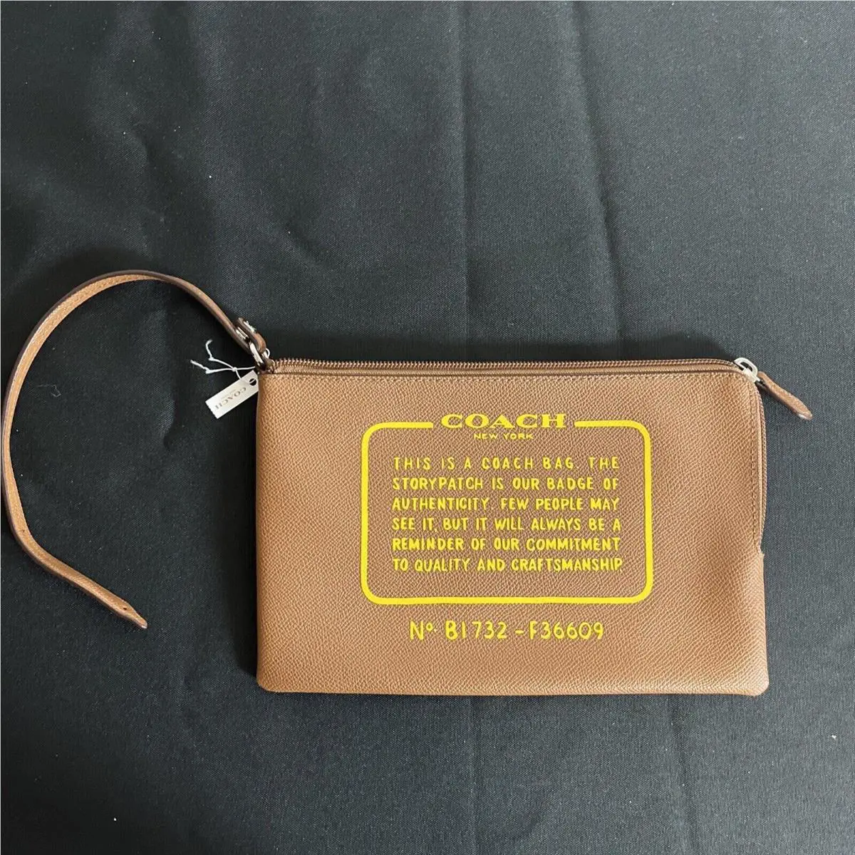 Coach Crossgrain Leather Storypatch Pouch Wristlet Clutch Bag