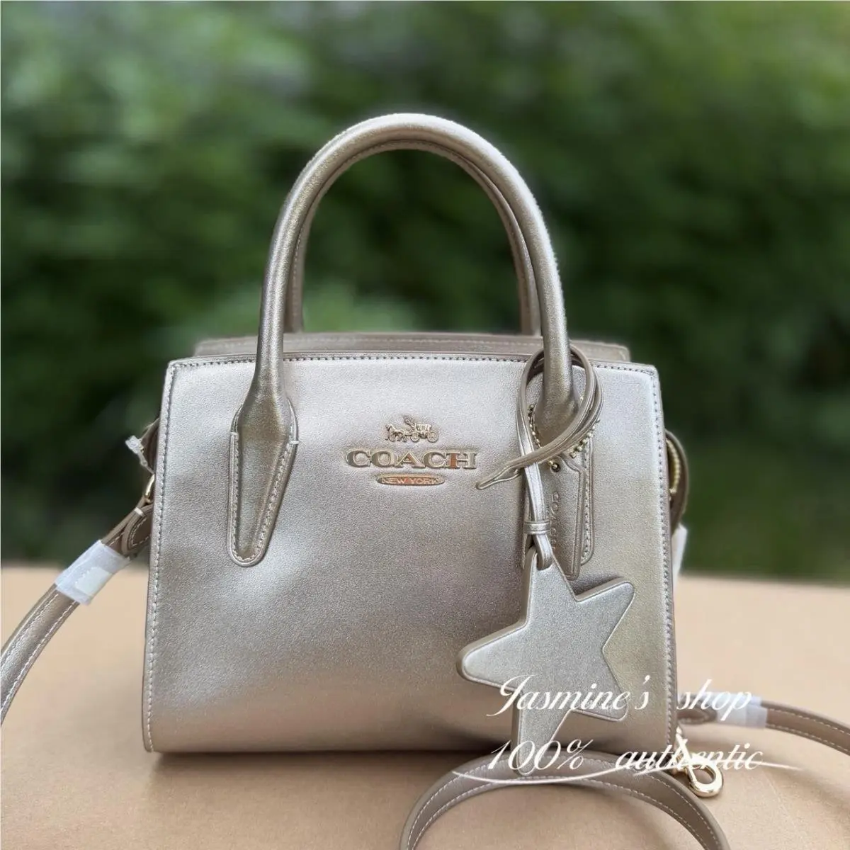 Coach Andrea Carryall Bag CW024
