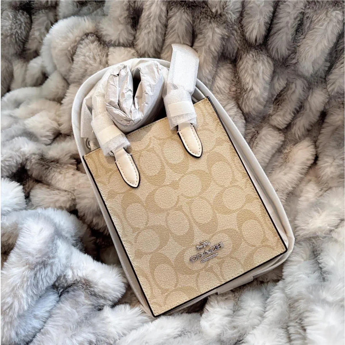 CJ494 North South Mini Tote In Signature Canvas IN Light Khaki Chalk by Coach