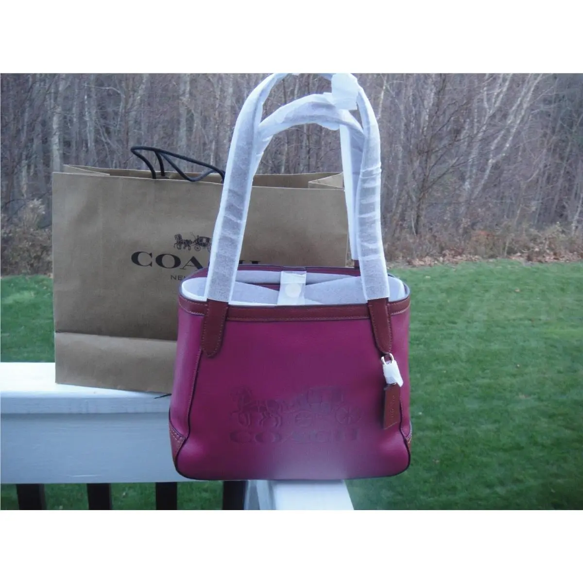 Coach Colorblock In Horse Carriage Leather Mediumtote Bag