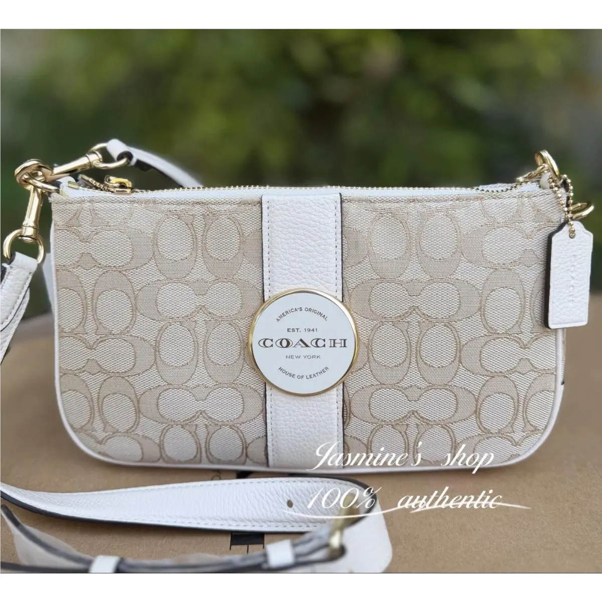 Coach Lonnie Baguette Crossbody In Signature Jacquard C8306