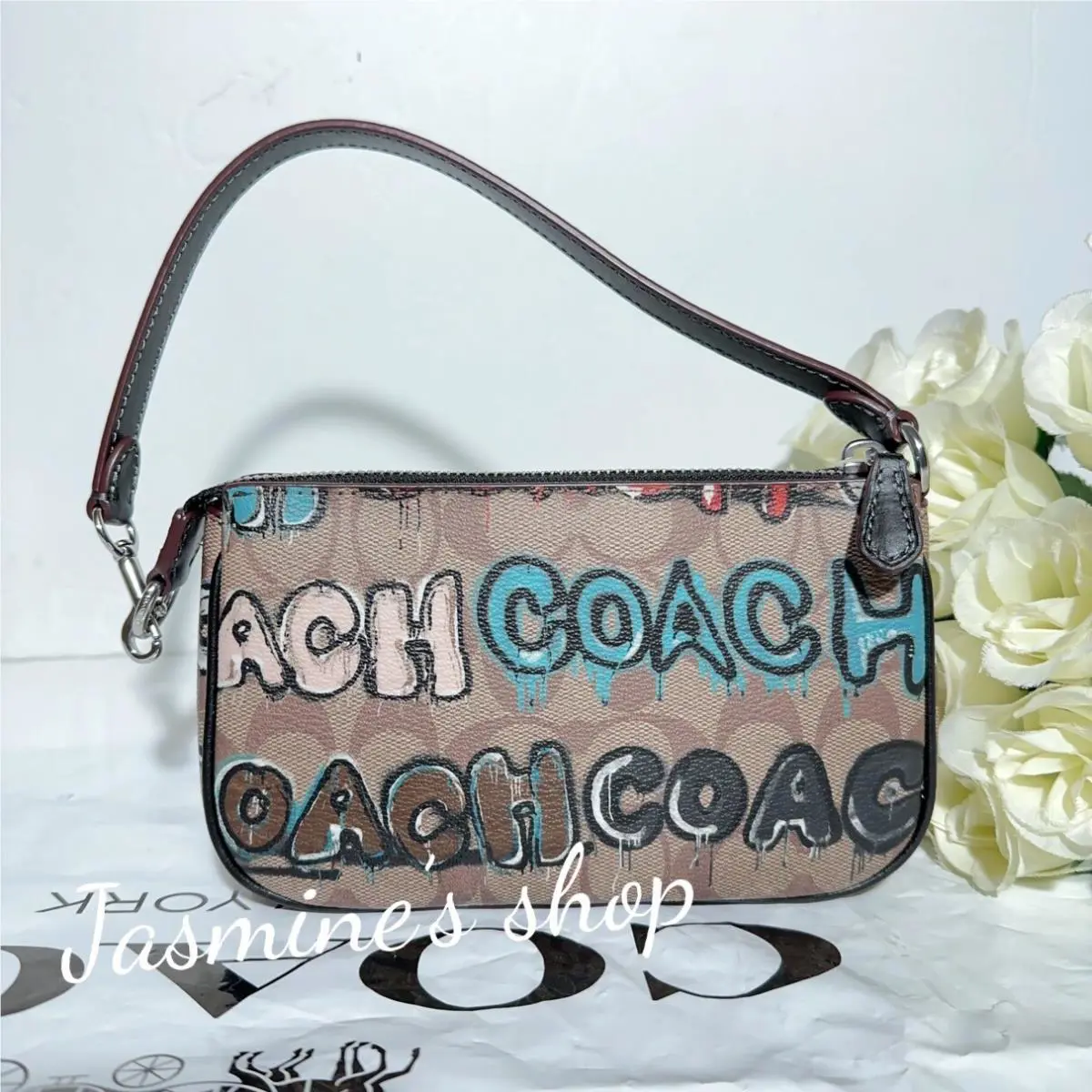 Coach X Mint + Serf Nolita 19 In Signature Canvas CM240