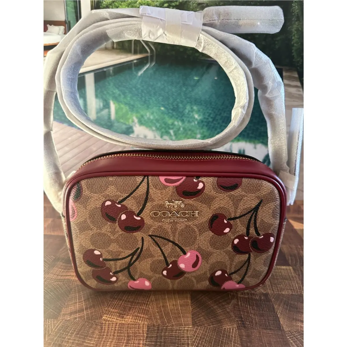Coach Mini Jamie Camera Bag In Signature Canvas Leather Cherry Print CAB03