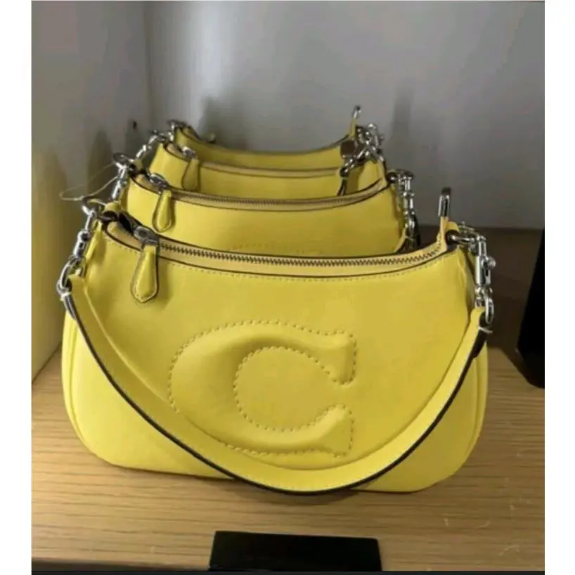 Coach CR099 Teri Shoulder Bag Leather Crossbody in Silver/daisy
