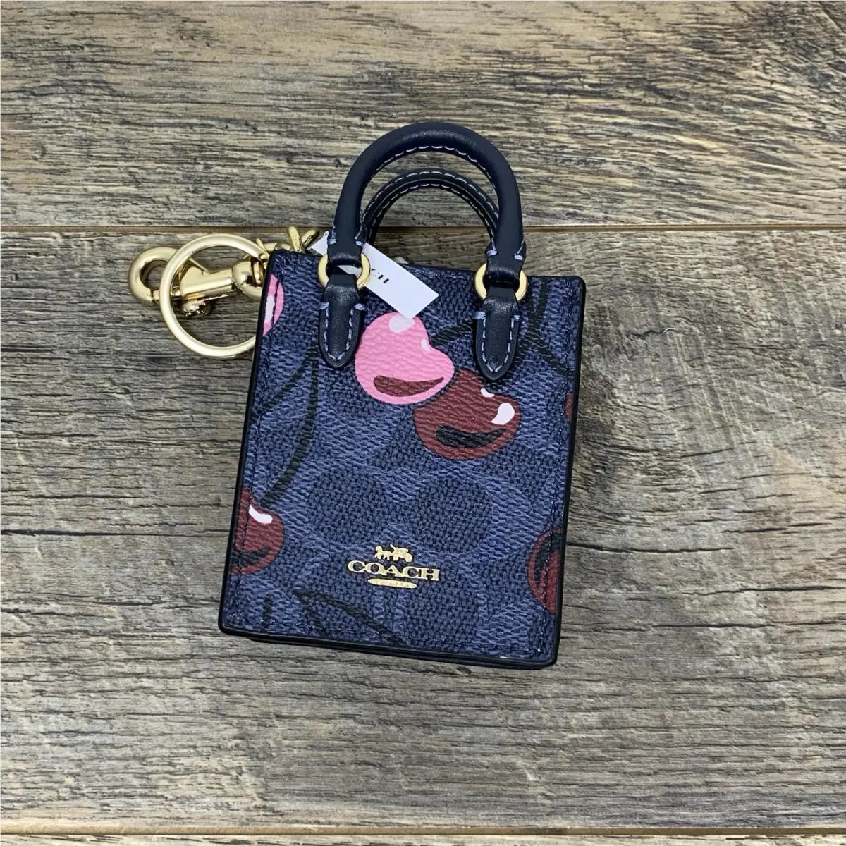 Coach North South Mini Tote Bag Charm In Signature Canvas Cherry Print CZ084