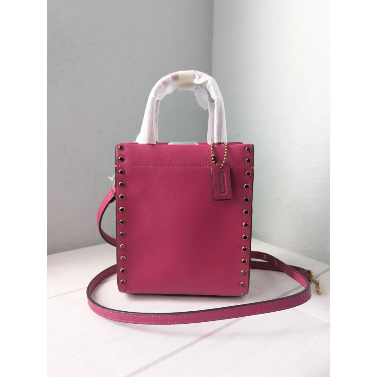 Coach Glove-tanned Leather Crystal Rivets Mini Cashin Tote Bag - Hyacinth