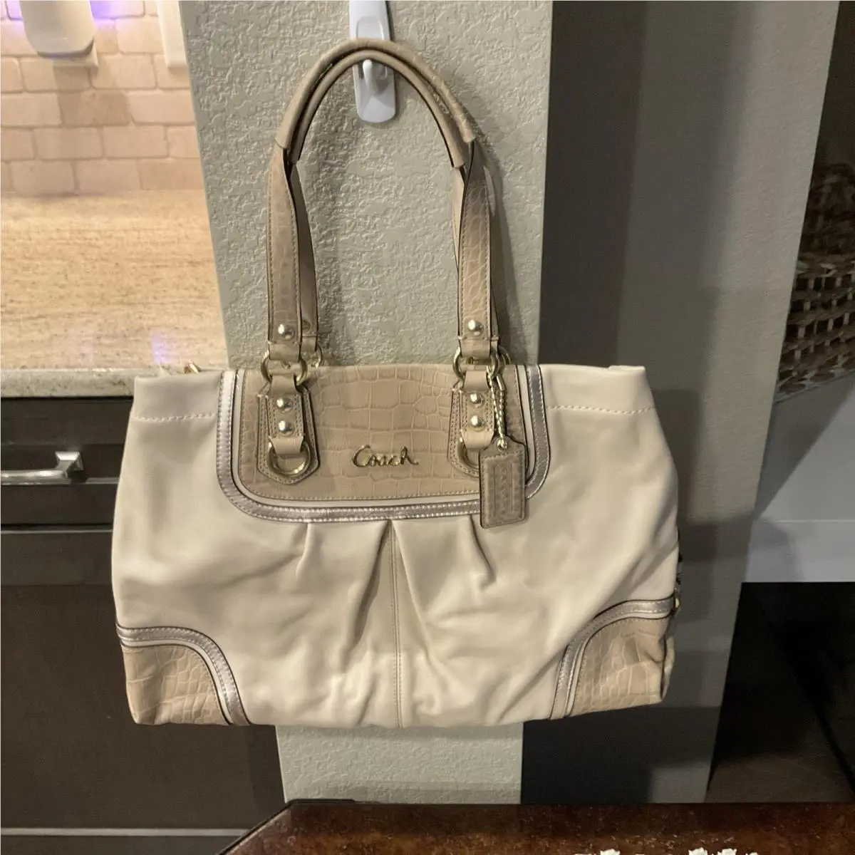 Coach Ashley Spectator Exotic Leather Carryall Bag Shoulder Bag Handbags F24887