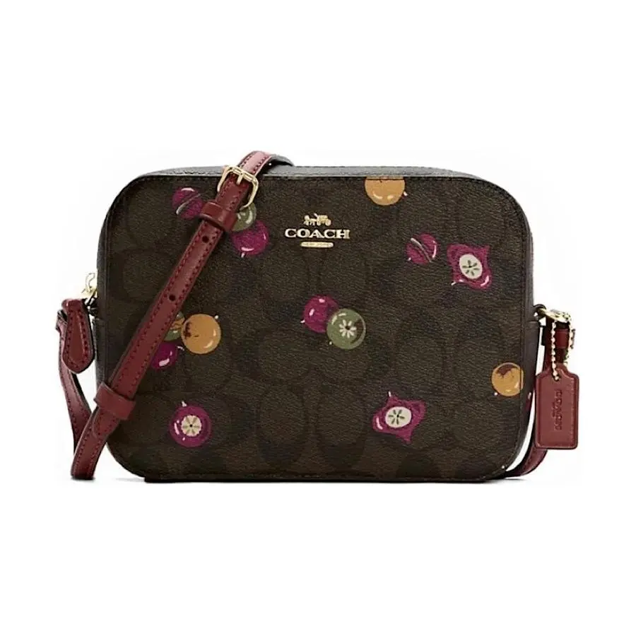 Coach Coated Canvas Ornament Print Mini Camera Bag C6904 Brown Black Multi