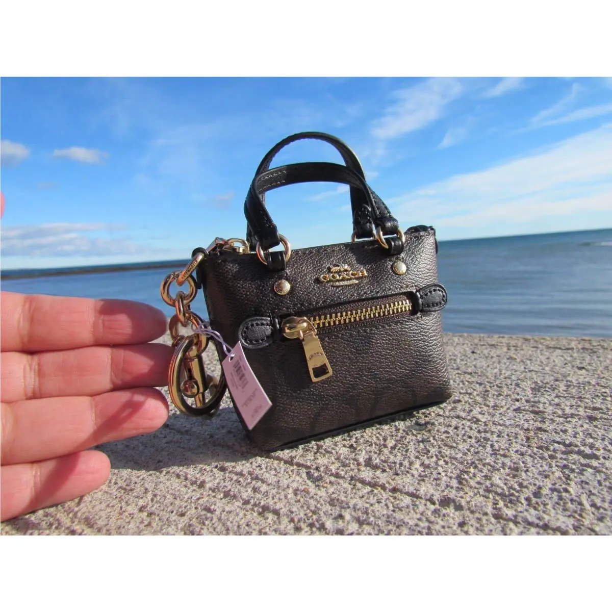 Coach Mini Gallery Bag Charm CG895 Tote Keychain Signature Brown Black