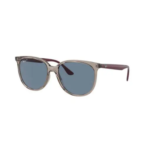 Ray-ban Polarized Transparent and Bordeaux Sunglasses RB4378 65722V 54