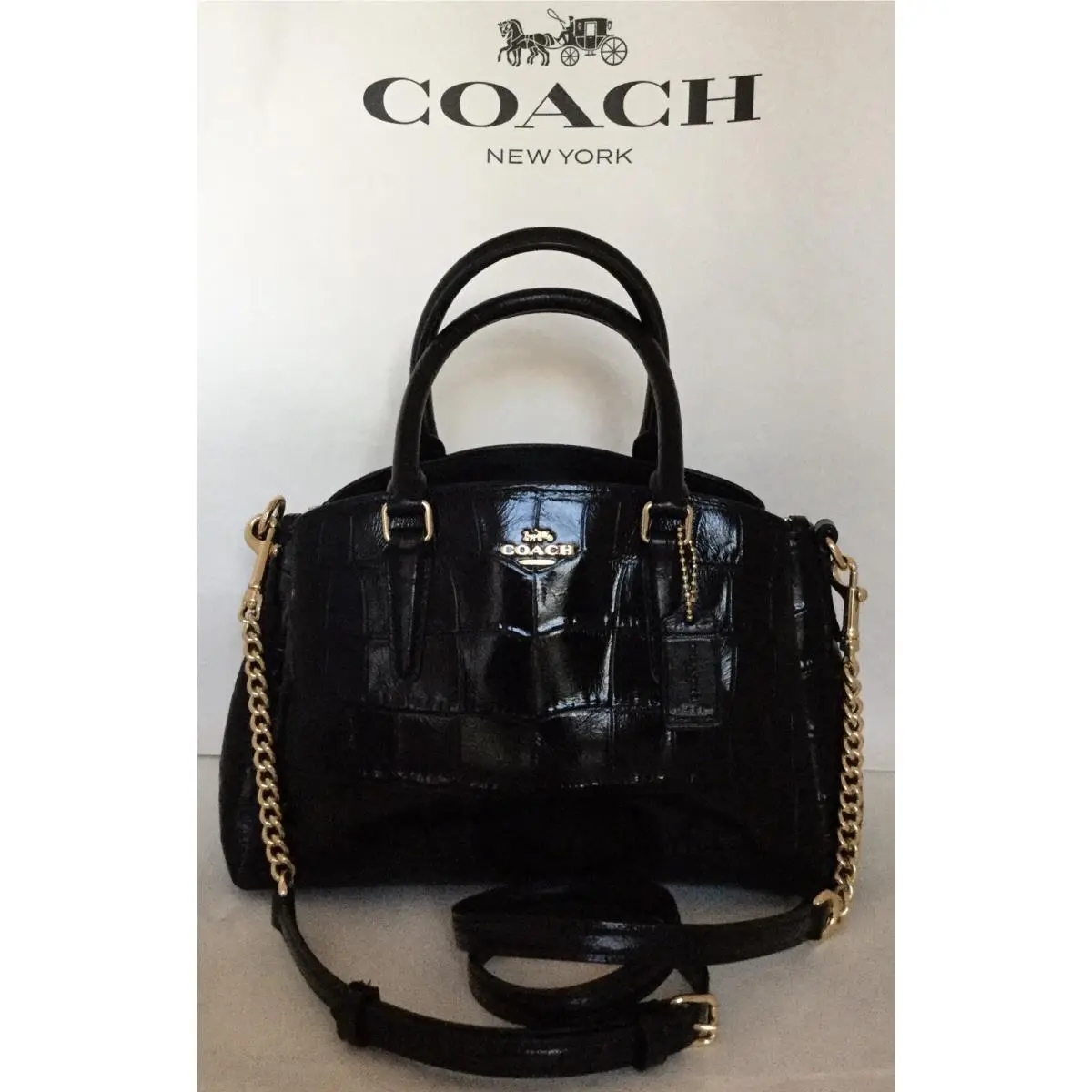Coach F38956 Crocodile Embossed Leather Mini Sage Chain Satchel Im/black