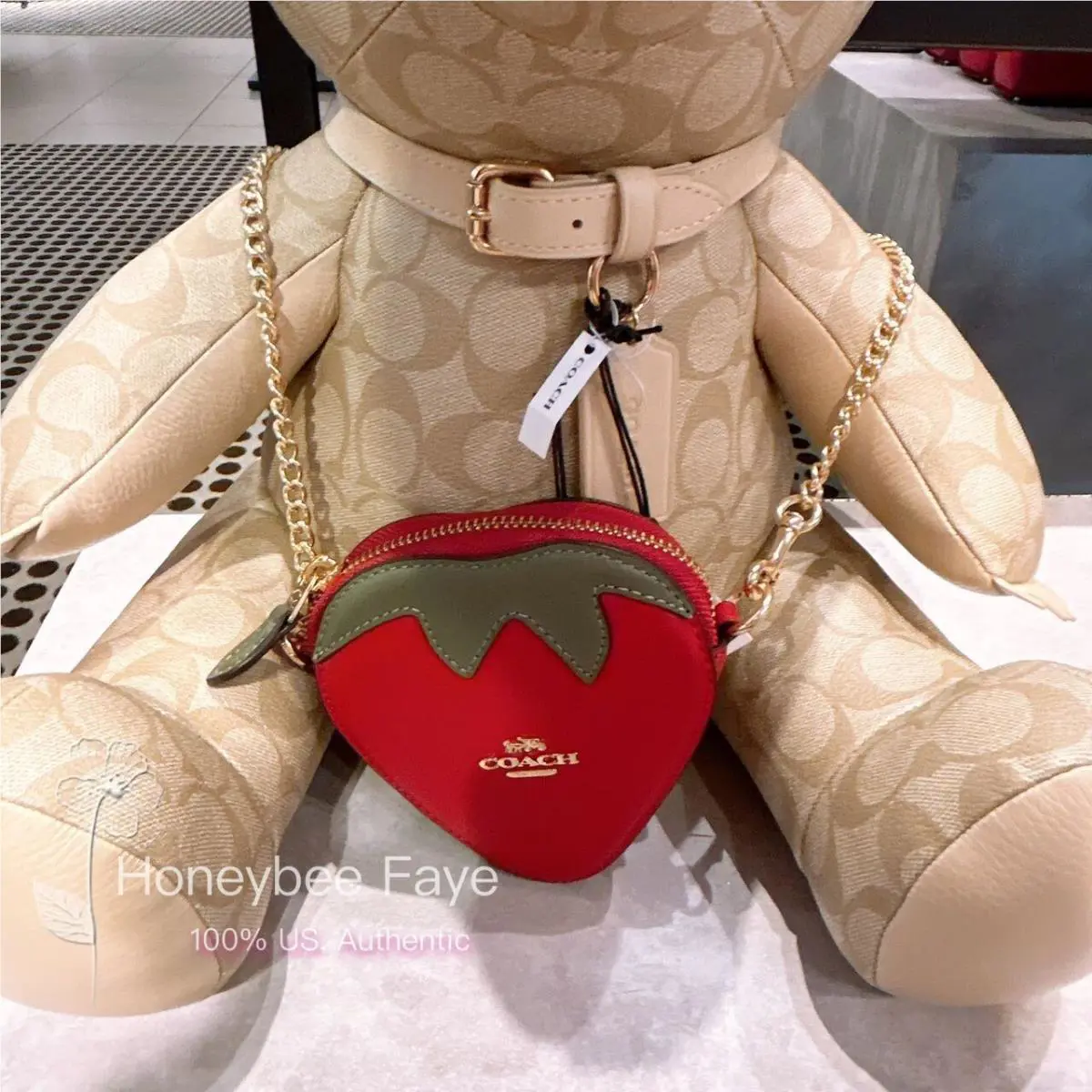 Coach Strawberry Coin Case CI182 Crossbody Chain Strap