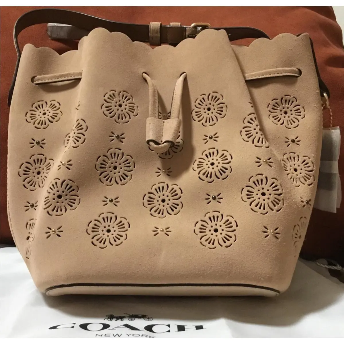 Coach Bucket Bag 18 w/ Cut Out Tea Rose Suede Crossbody Beechwood F25193