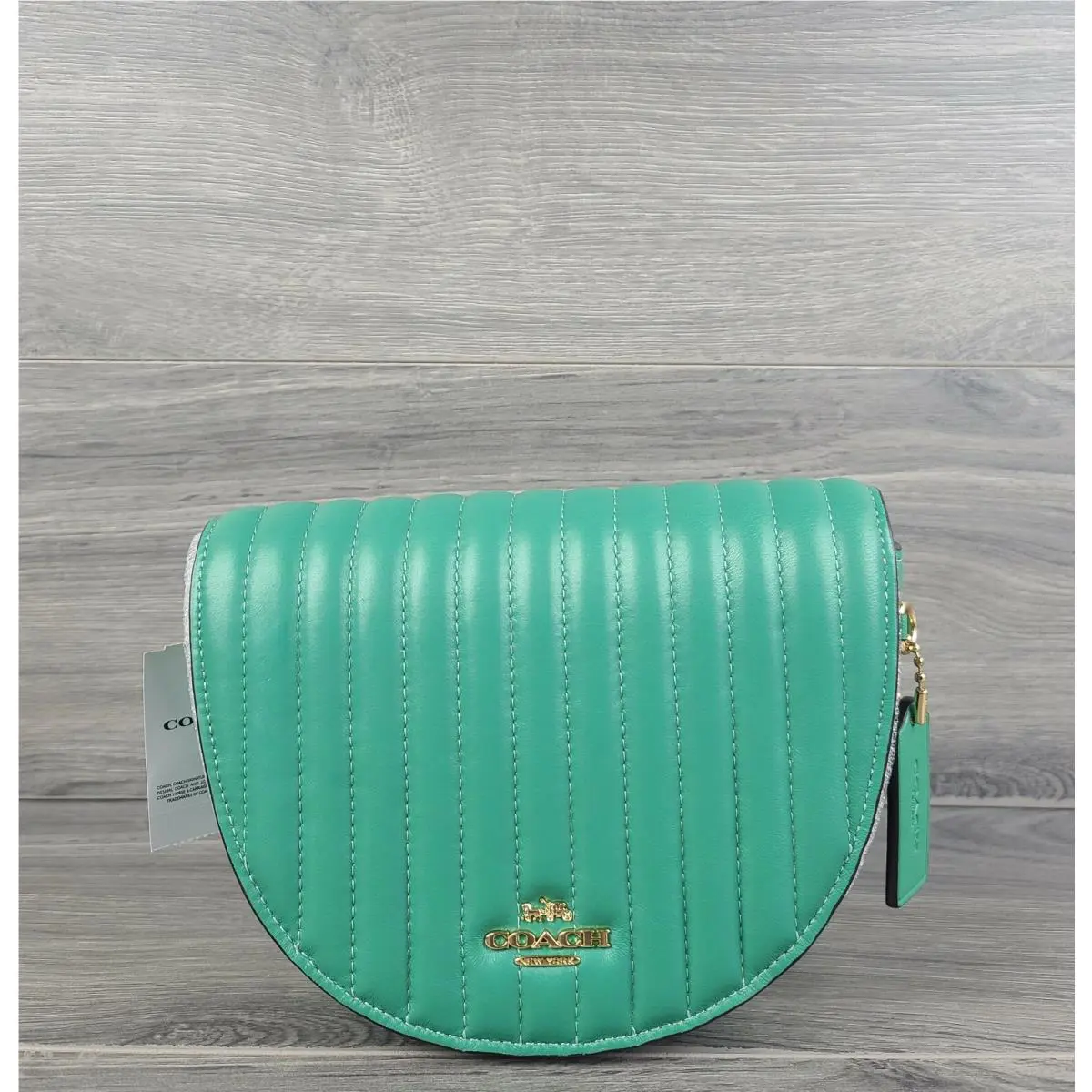 Coach Crossbody Linaer Quilted Leather Ellen Handbag C4283 Green