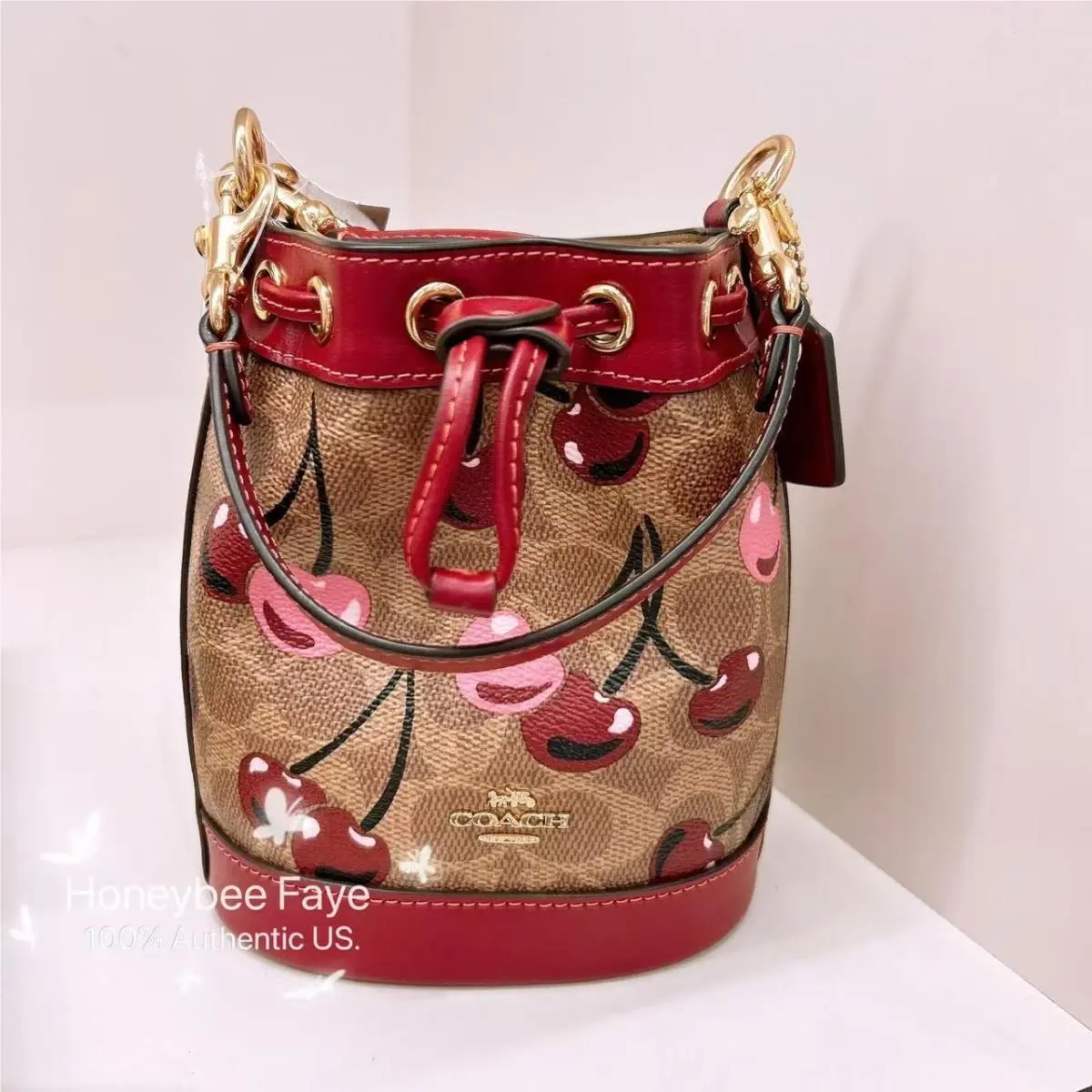 Coach Mini Bucket Bag In Signature Canvas with Cherry Print CY738