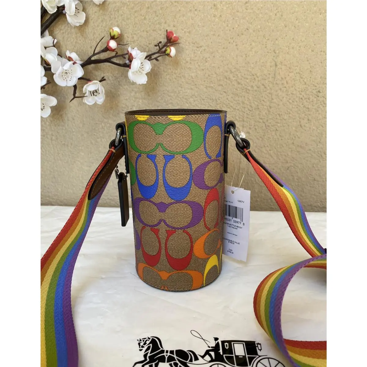 Coach Water Bottle Crossbody In Rainbow Signature Canvas C9855