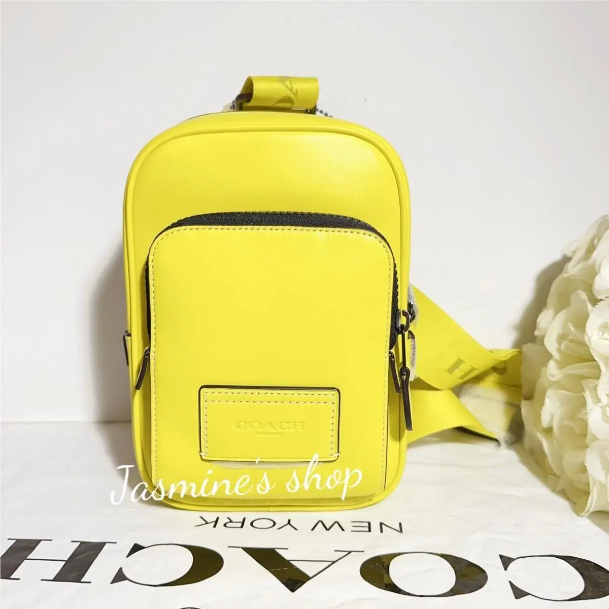 Coach Track Pack 14 In Signature Canvas CL410