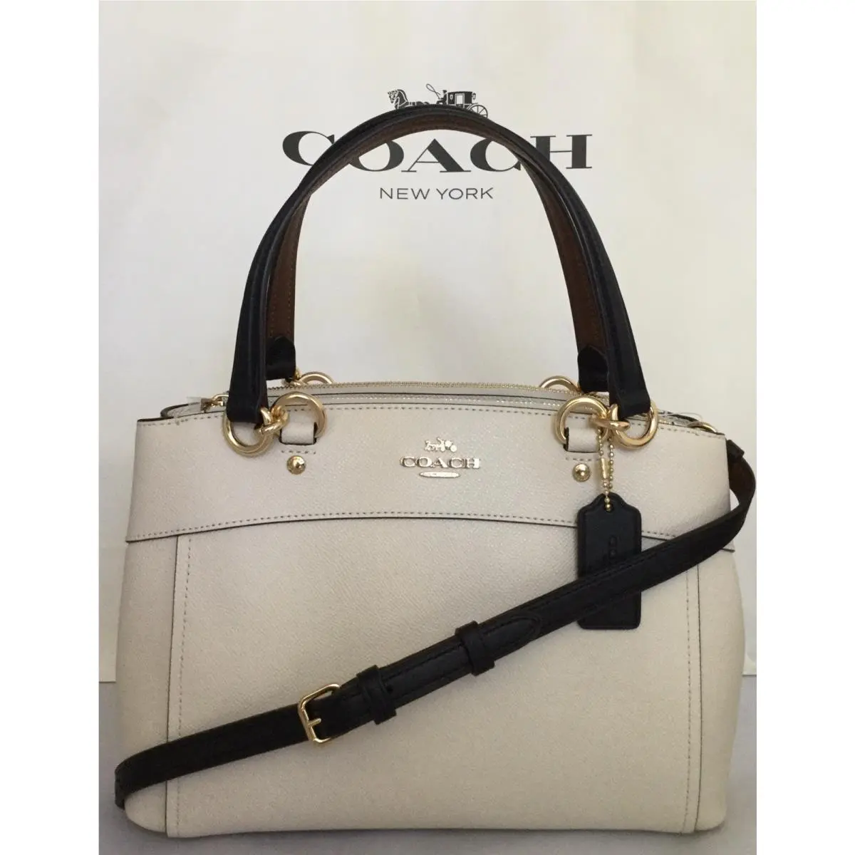 Coach F31988 Mini Brooke Contrast Trim Leather Satchel Handbag Chalk Multi