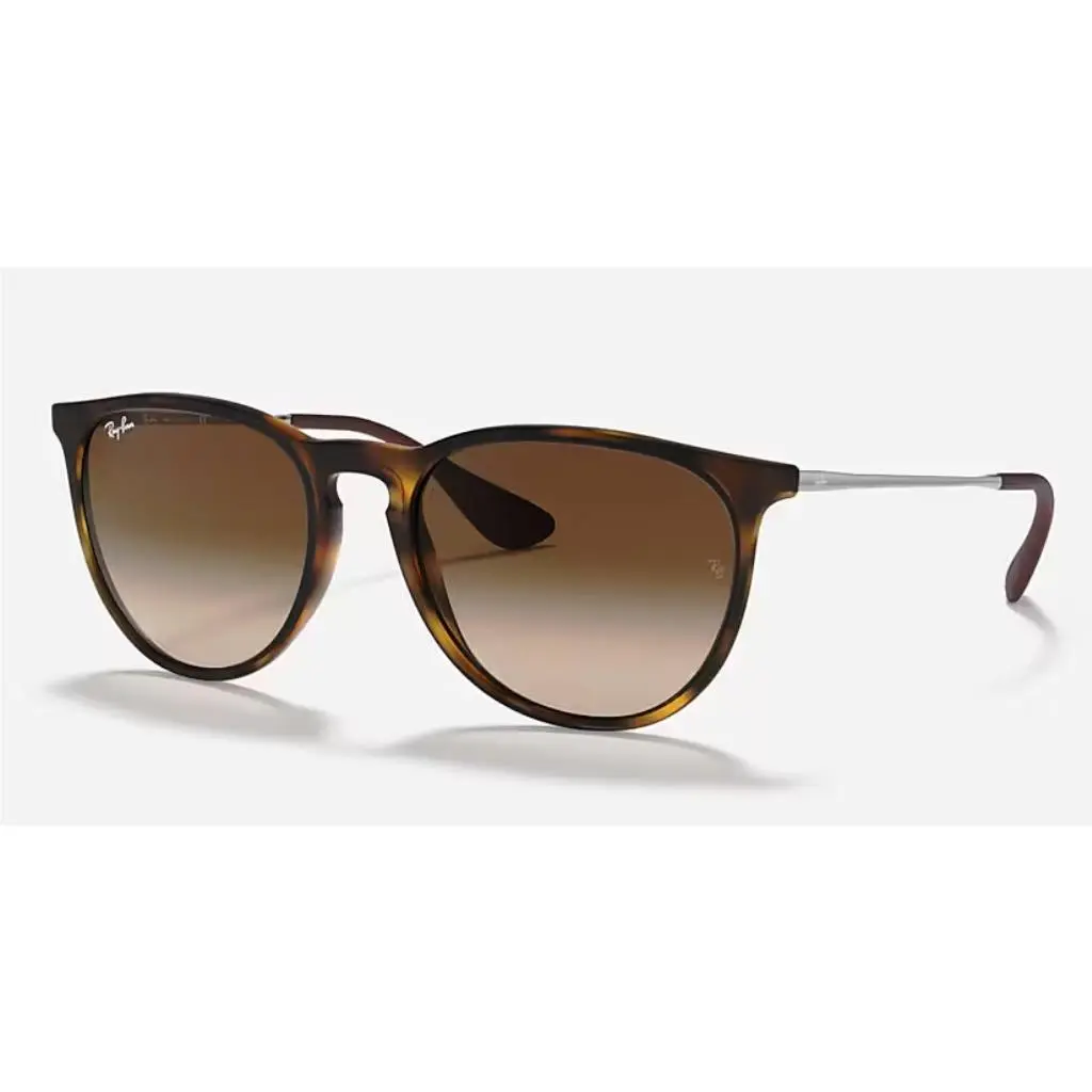 Ray-ban RB4171 Erika Sunglasses For