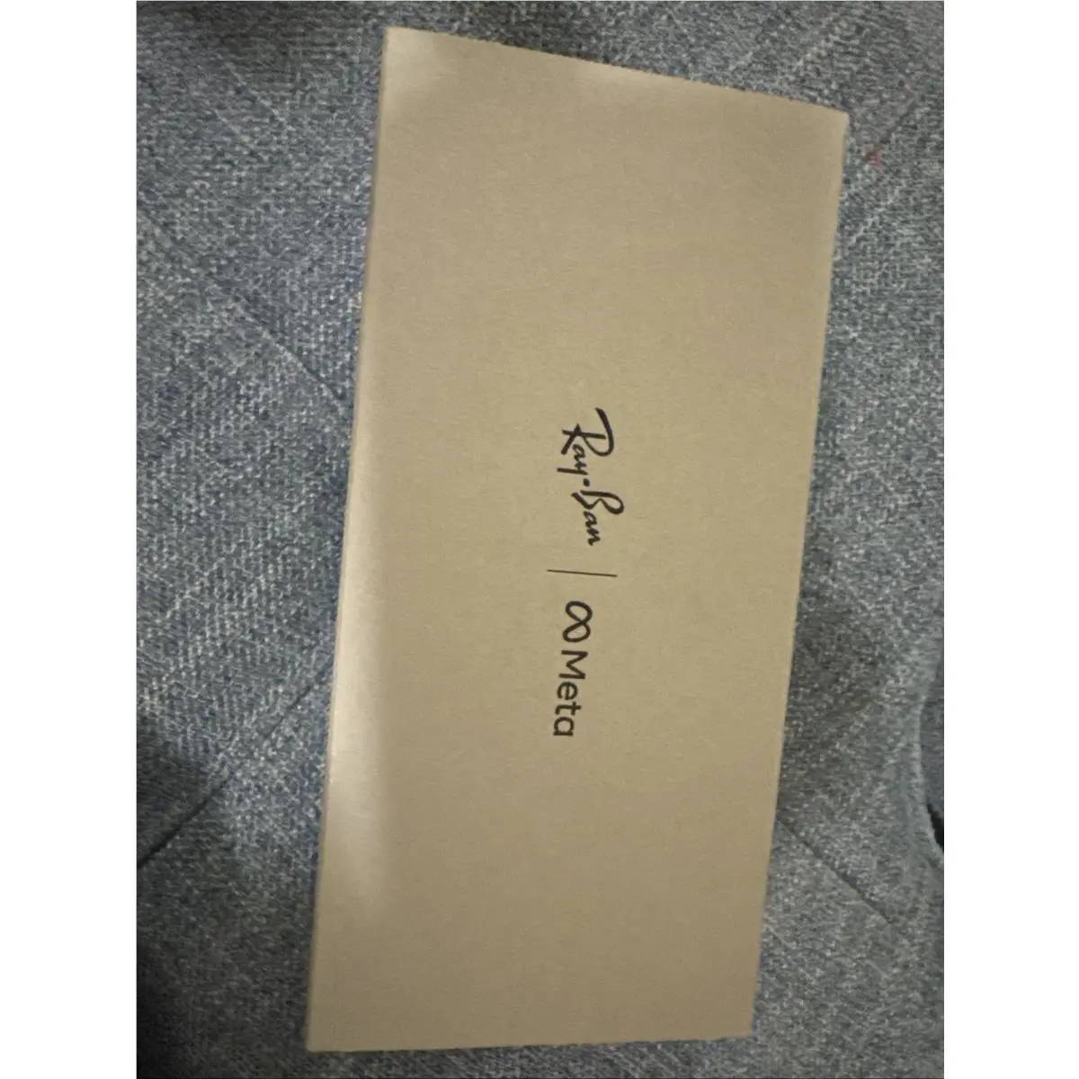 Ray-ban Meta Wayfarer RW4006 Matte Black with Charging Case Cleaning Cloth