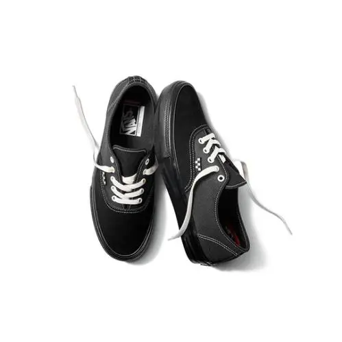 Vans shoes Authentic Skate - Black 5
