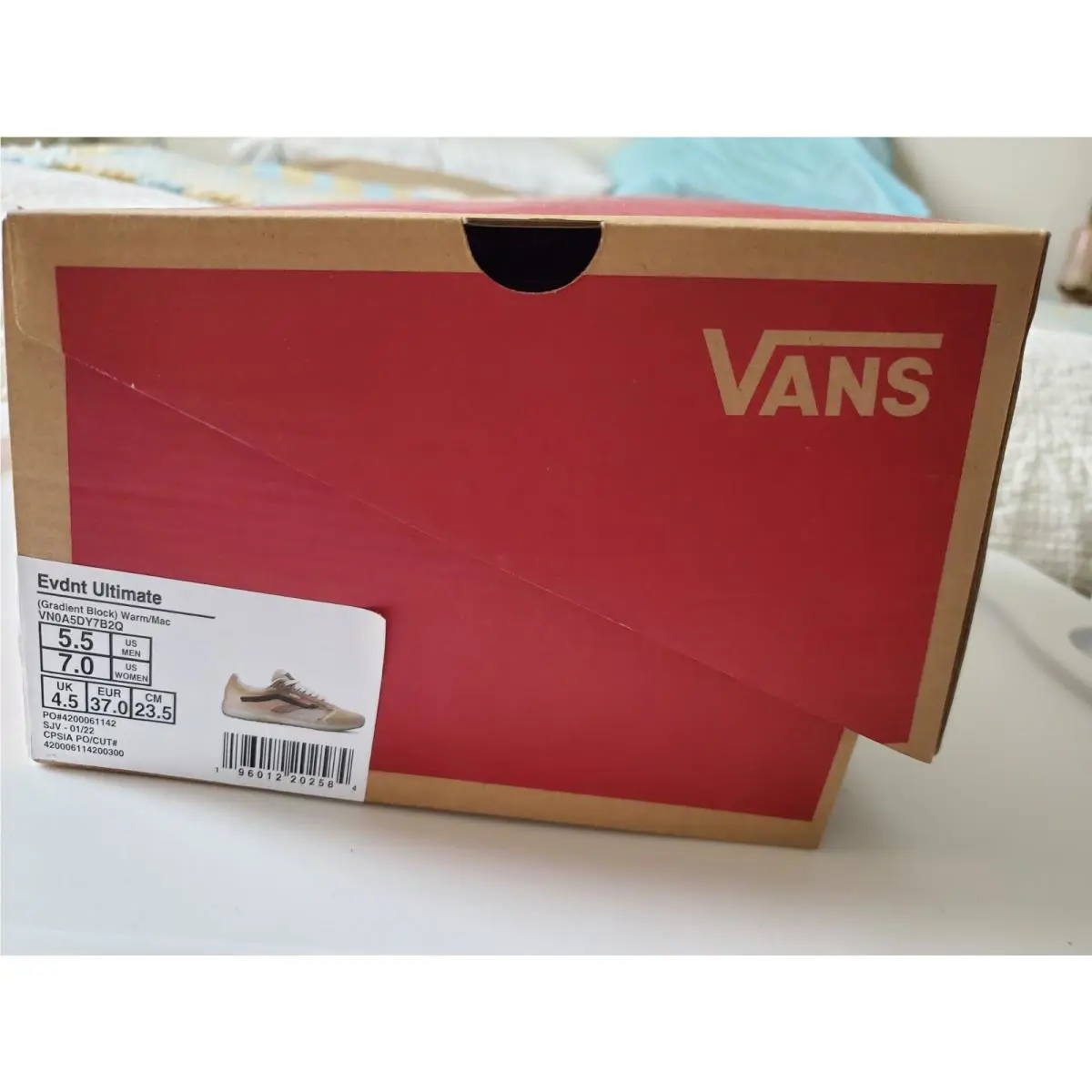 Vans shoes - VANS EVDNT - EVDNT - VN0A5DY7B2Q - Beige 5