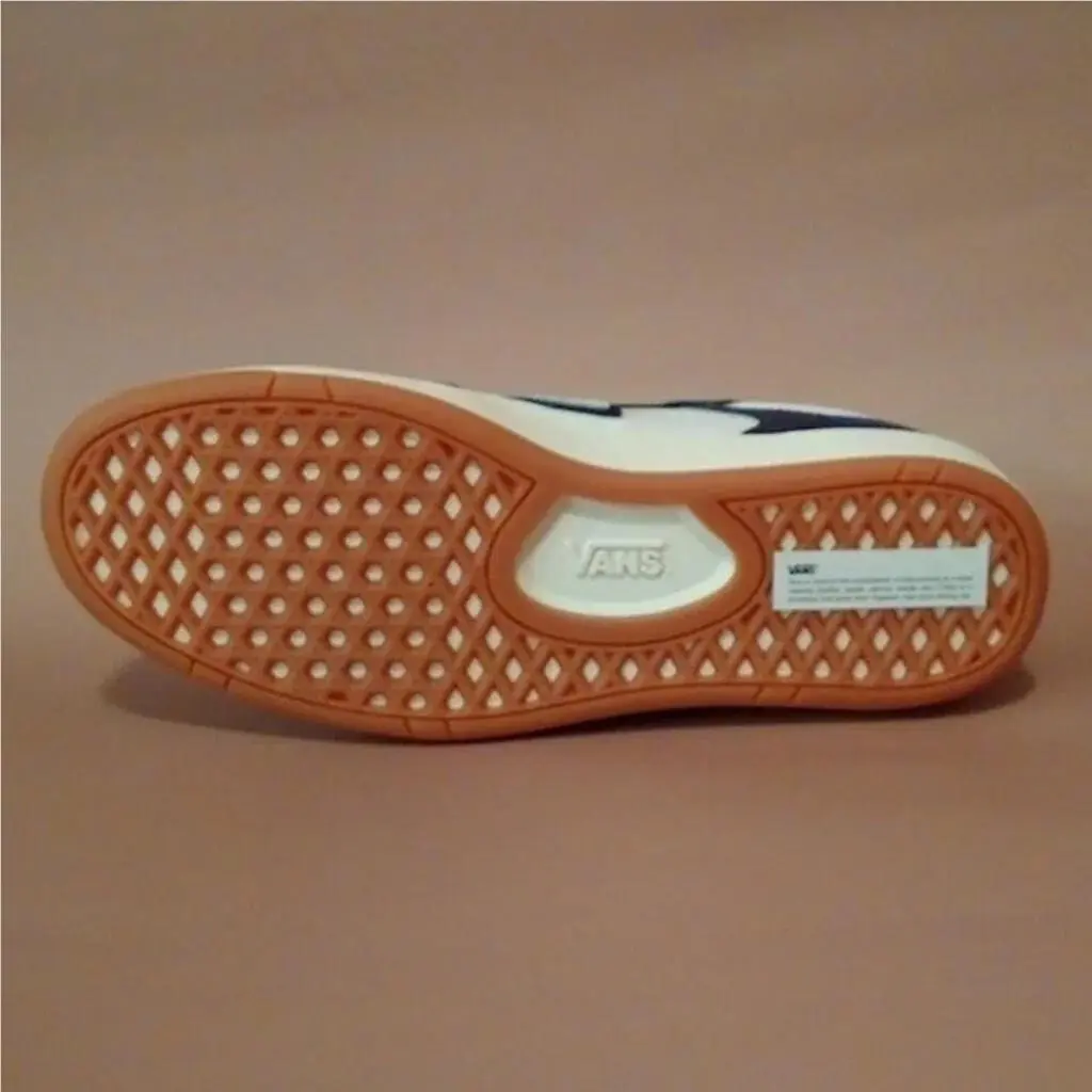 Vans shoes - VANS Skate - Skate - Purple 1