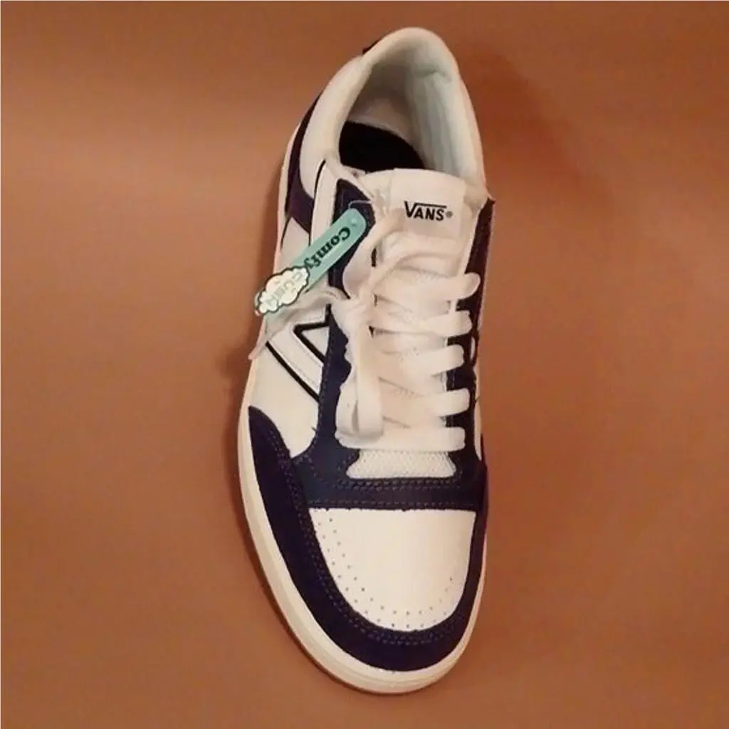 Vans shoes - VANS Skate - Skate - Purple 2