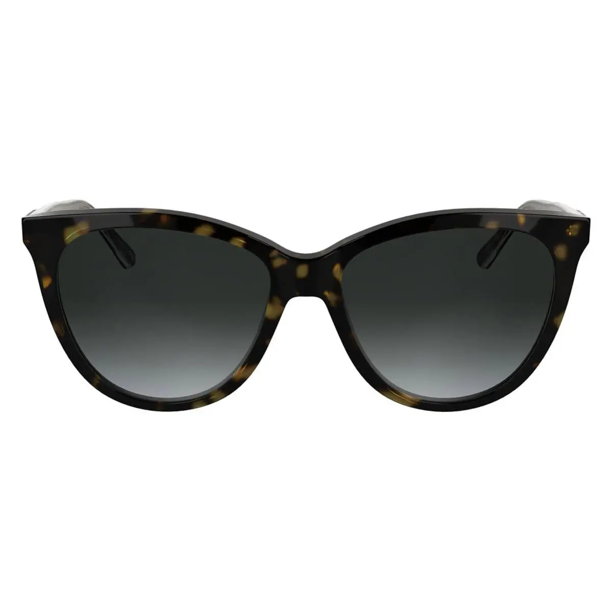 Calvin Klein CK25508S Sunglasses Female Havana 55mm
