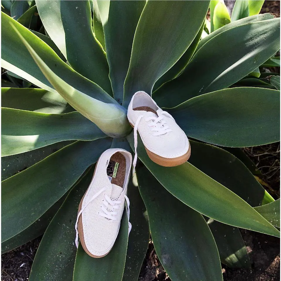 Vans shoes - VAN `S CIRCLE VEE - VAN CIRCLE VEE - Beige 2
