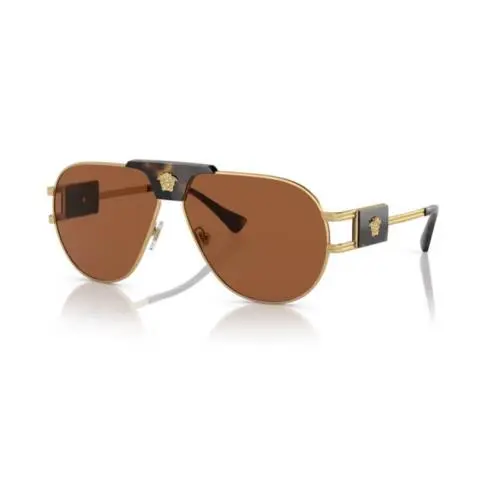 Versace 0VE2252 147073 - Gold / Dark Brown Polished Havana Men`s Sunglasses