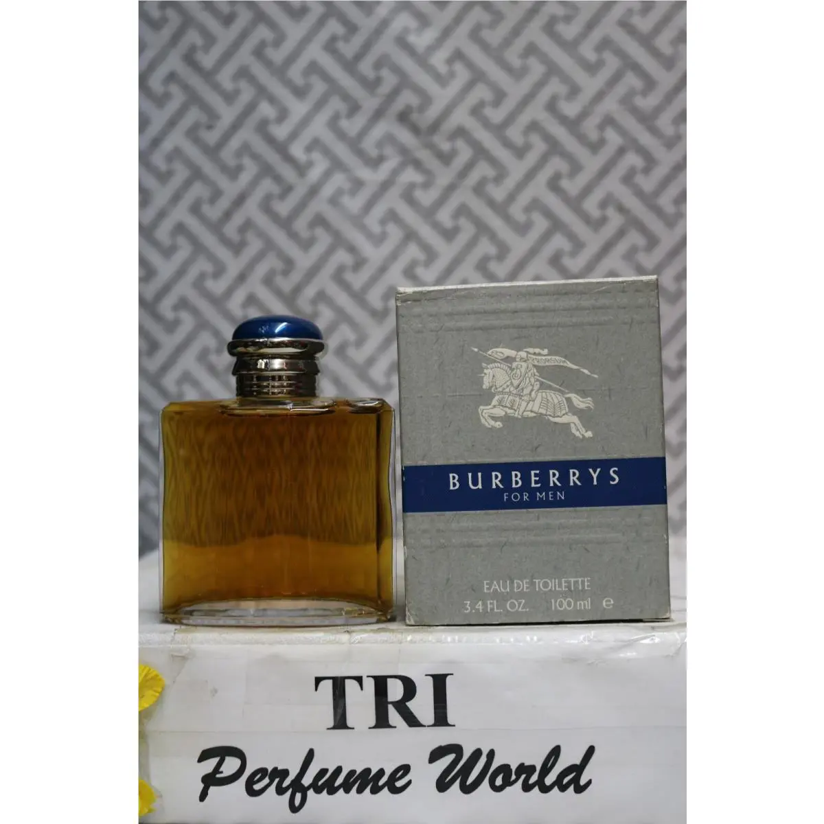 Burberrys For Men by Royal Brands Eau de Toilette Splash 3.4 Fl. Oz. Vintage