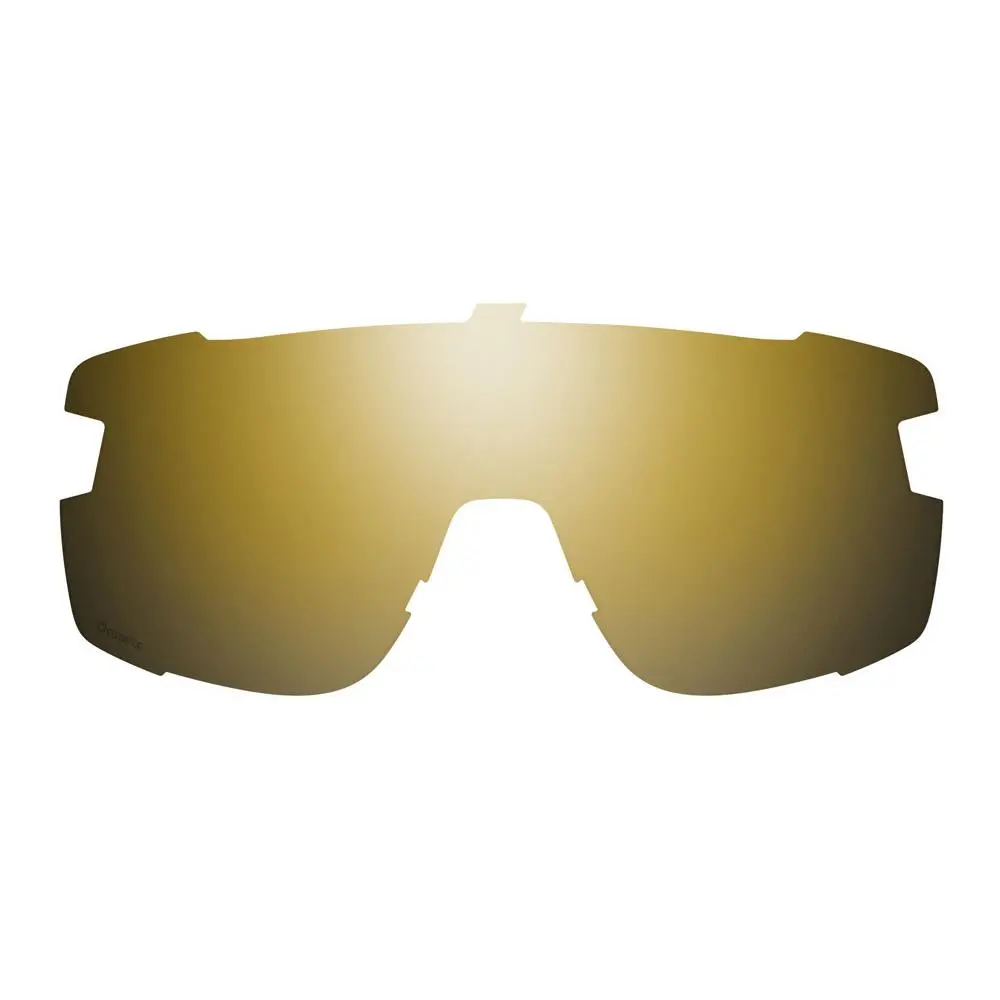 Smith Wildcat Replacement Lens -new- Smith Lenses - For Smith Wildcat by Smith Optics
