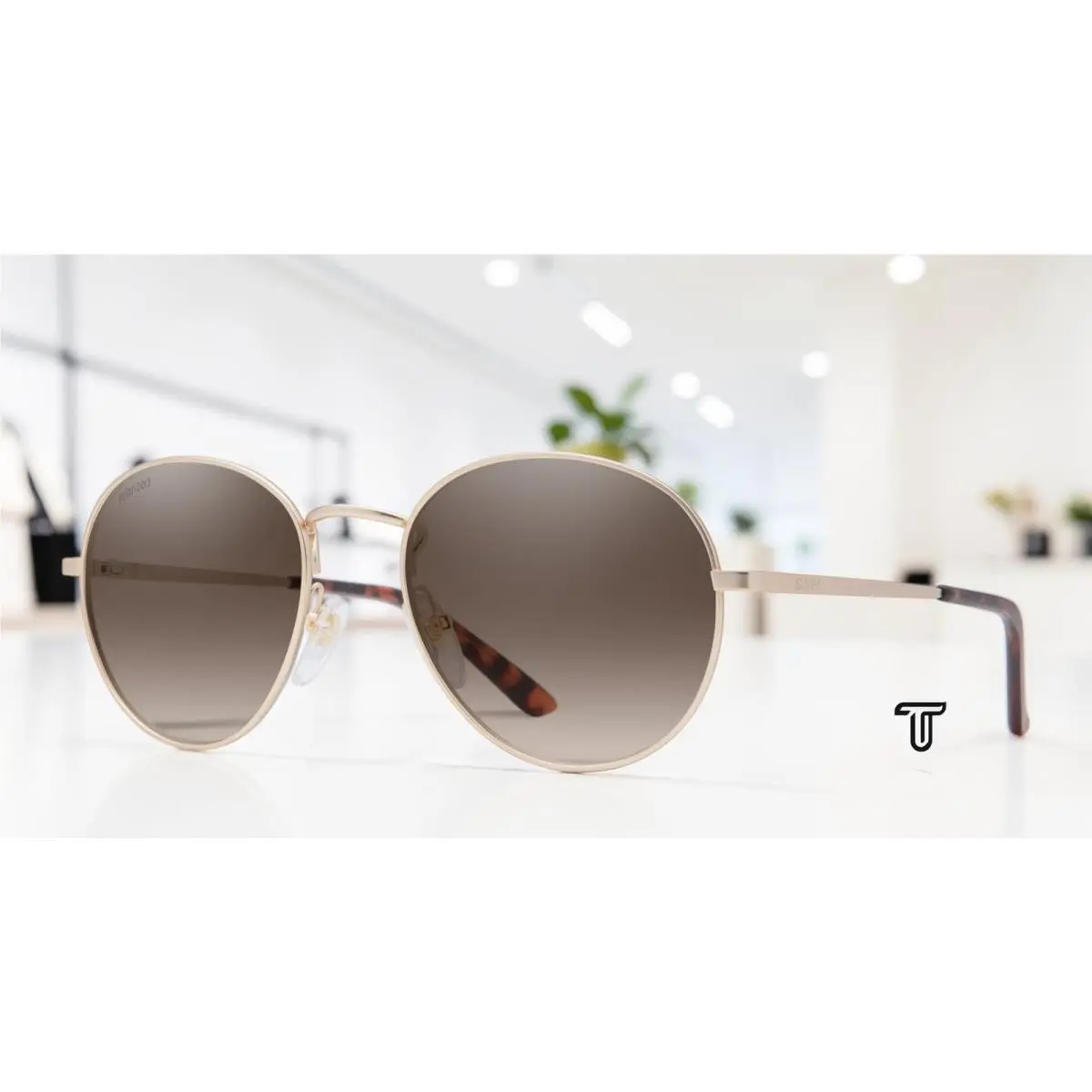 Smith Prep Matte Gold Polarized Brown Gradient 53 mm Unisex Sunglasses - Frame: Gold