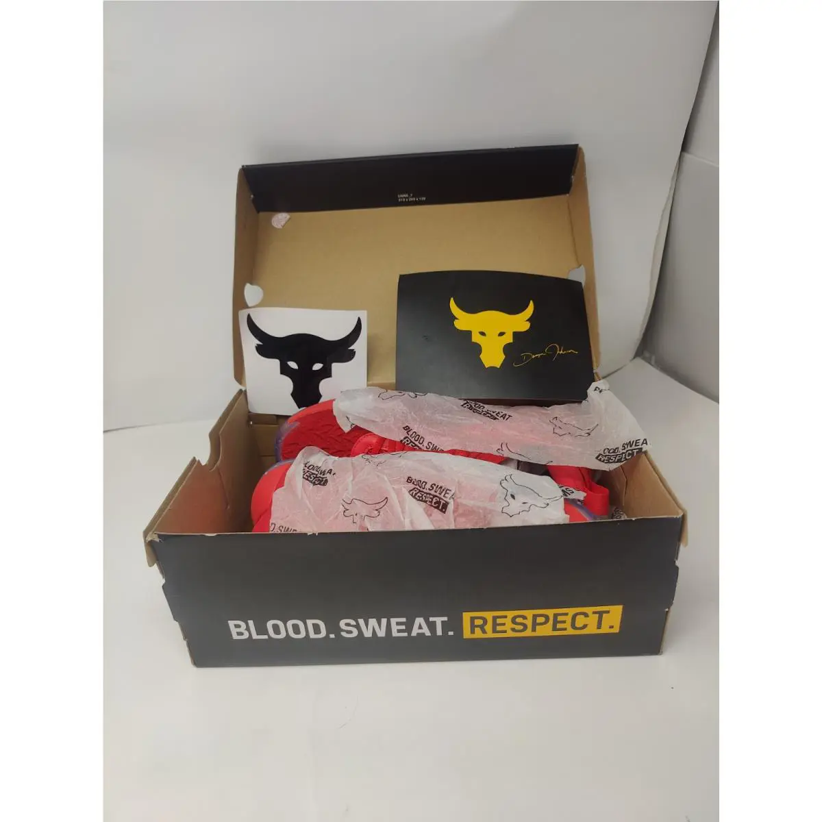 Under Armour shoes Project Rock Holiday - Red 0