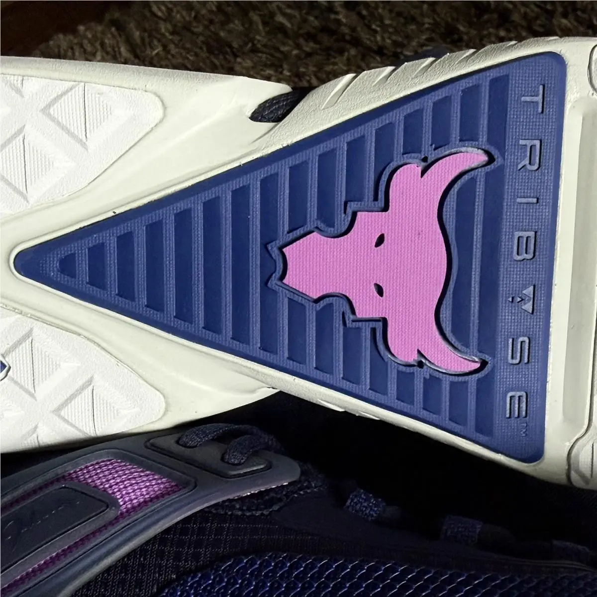 Under Armour shoes - Under Armour Project Rock 5 - 3025976-401 - Blue 9