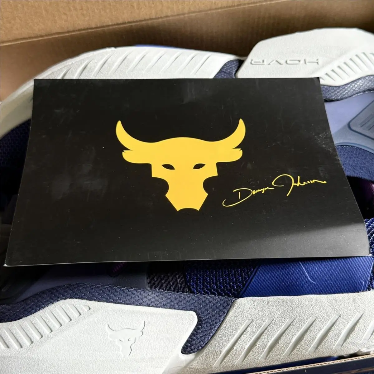 Under Armour shoes - Under Armour Project Rock 5 - 3025976-401 - Blue 14