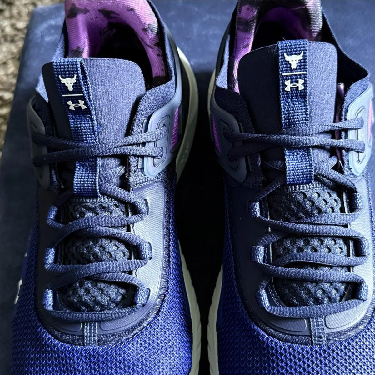 Under Armour shoes - Under Armour Project Rock 5 - 3025976-401 - Blue 2