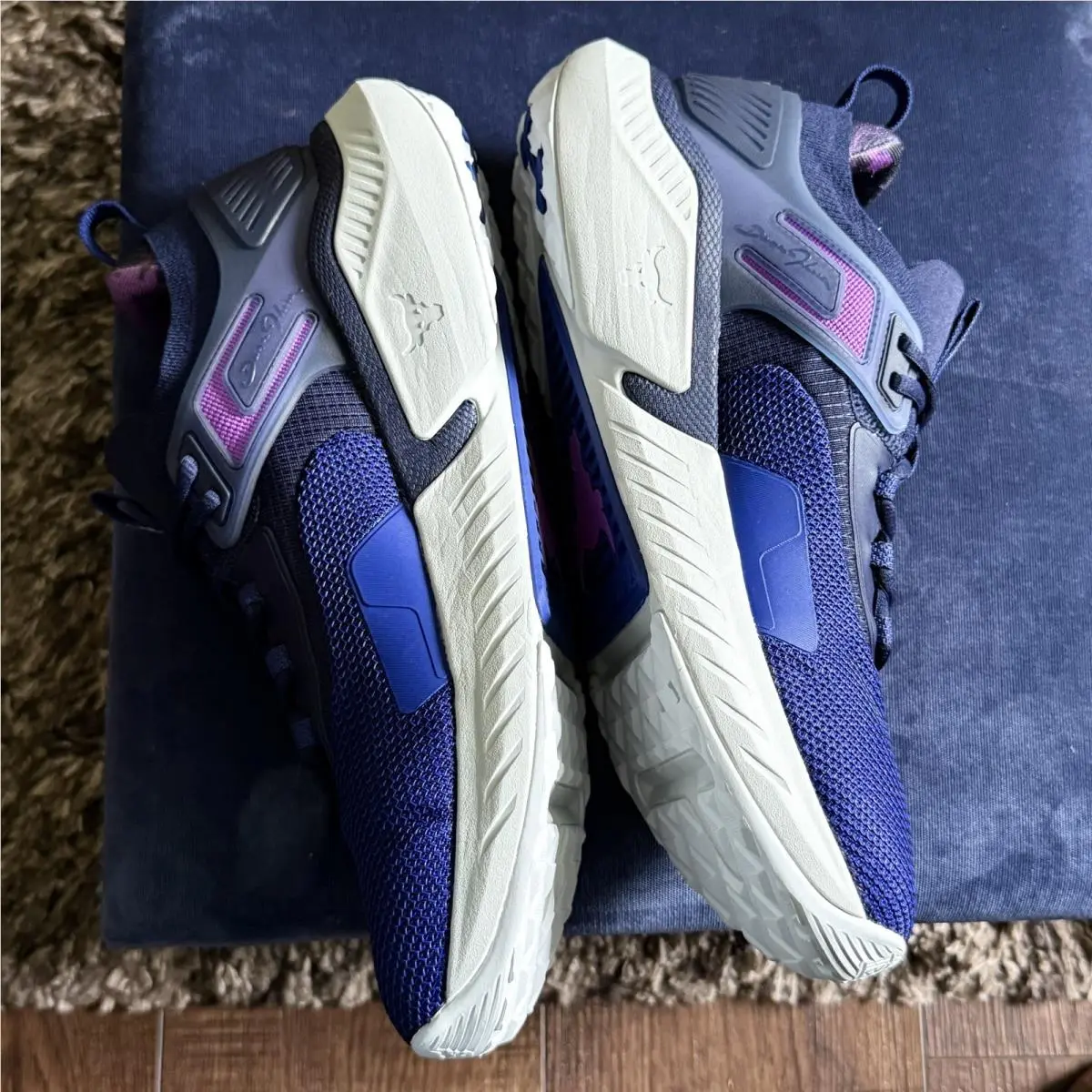 Under Armour shoes - Under Armour Project Rock 5 - 3025976-401 - Blue 4