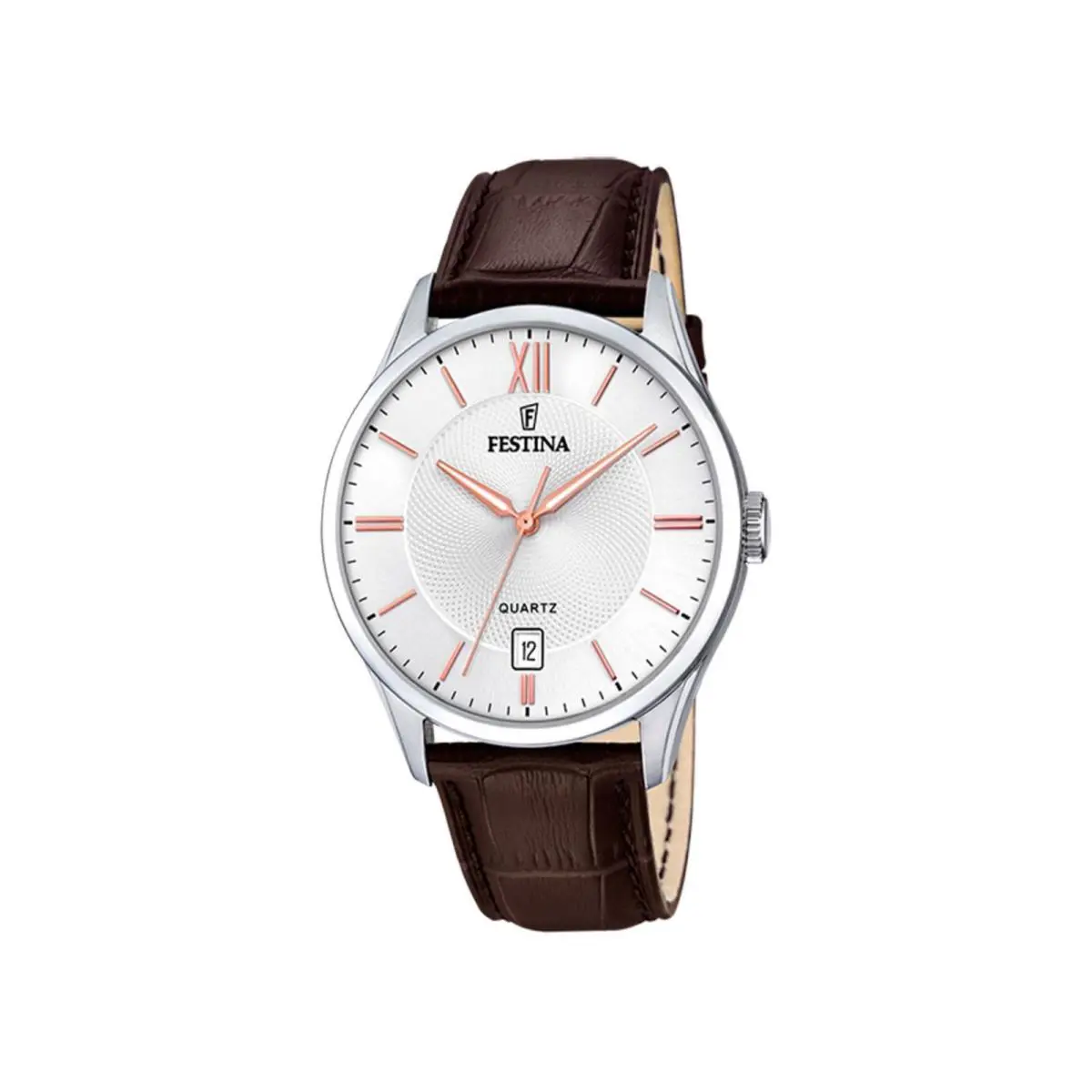Watch Festina F20426/4 Classic Metal Man 43 Stainless Steel