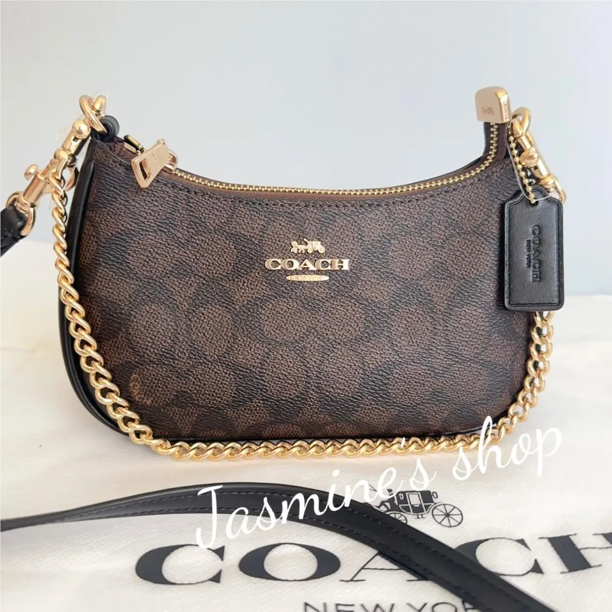 Teri Mini Crossbody Bag In Signature Canvas cw323 Gold/Walnut/Black by Coach