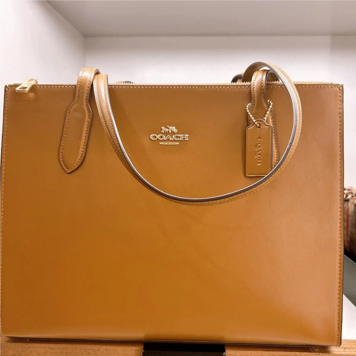 Nina Large Size Tote In Signature Canvas /leather CL398 Gold/Light Saddle by Coach