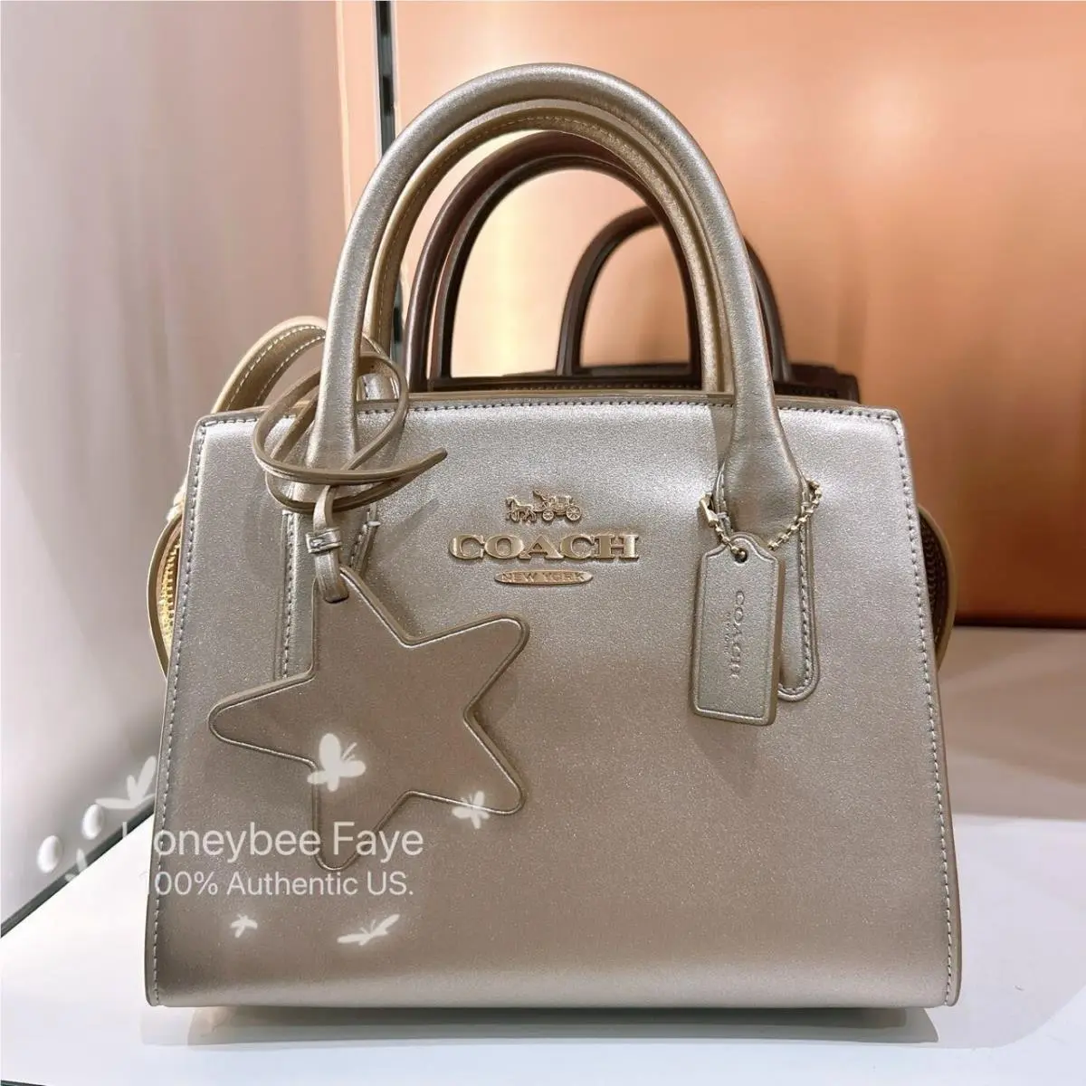 Coach Andrea Carryall Bag CW024
